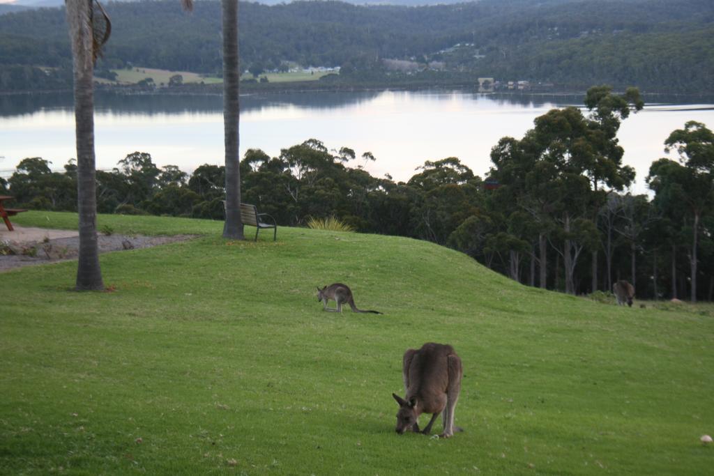 Norfolk Pines Motel Merimbula Ngoại thất bức ảnh