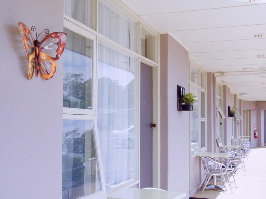 Norfolk Pines Motel Merimbula Ngoại thất bức ảnh